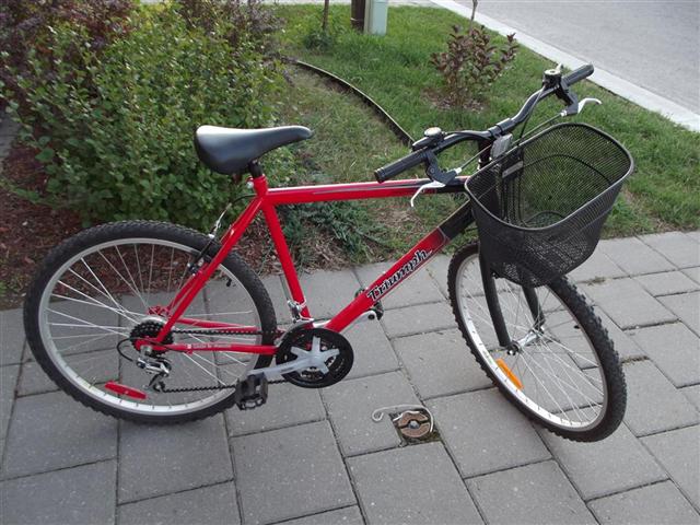bike (Large)2.jpg