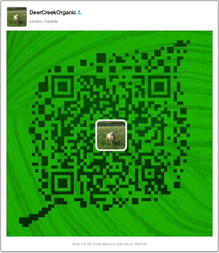 wechat scan.jpg