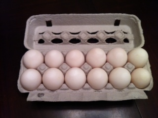 duck eggs.JPG